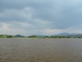Tn PPTC 273